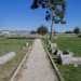 ...oltre ad alcune colonne...